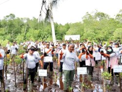 Momentun Hari Menanam Pohon Indonesia, PLN Gelar Program Energizing Green Spaces di Jayapura