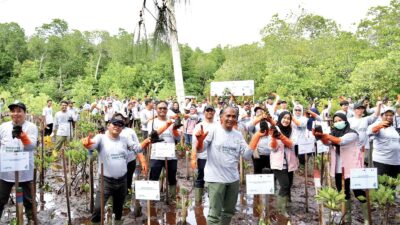 Momentun Hari Menanam Pohon Indonesia, PLN Gelar Program Energizing Green Spaces di Jayapura