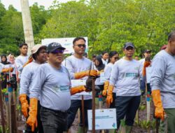 Energizing Green Spaces : Investasi Hijau PLN untuk Ekosistem Jayapura