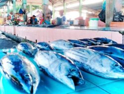 Papua Barat pada Desember 2024 Alami Inflasi Tahunan 2,53 Persen