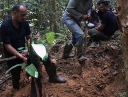 Kepala Distrik Klabot Otak Pembunuhan Wanita Mayatnya Sisa Kerangka