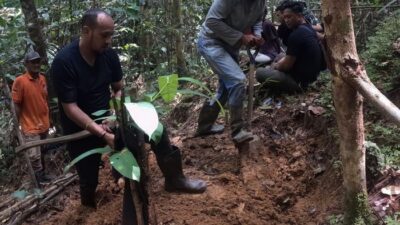Kepala Distrik Klabot Otak Pembunuhan Wanita Mayatnya Sisa Kerangka