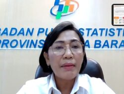 BPS Catat Papua Barat Alami Deflasi Tahunan pada Maret 2025
