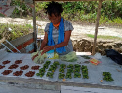 Gubernur Papua Barat Minta Pemkab Wondama, Bintuni dan Pegaf Asuransikan Pekerja Rentan