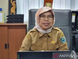 Papua Barat Butuh 141.100 Kelambu Insektisida untuk Tiga Kabupaten