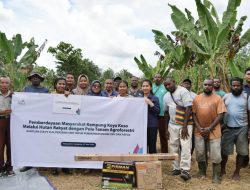 PLN UIP MPA Dorong Kemandirian Kampung Koya Koso Lewat Program Agroforestri Berbasis Hutan Rakyat