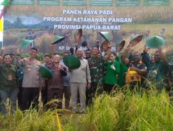 Harga Komoditas Naik, Nilai Tukar Petani Papua Barat Tembus 102,75 di Mei 2025