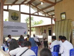Peningkatan Budidaya Hortikultura, PLN UIP MPA Hadirkan Irigasi Sprinkler Otomatis Kampung Waibron