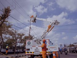 Gangguan Listrik Menurun, PLN Bukukan Kinerja Positif 2024
