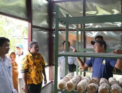 Dorong Kemandirian Ekonomi, PLN UIP MPA Hadir untuk Rakyat Lewat Program TJSL