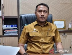 Realisasi Investasi 2024 di Papua Barat Capai Rp13,03 Triliun