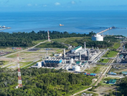 Industri Pengolahan Jadi Penopang Utama Pertumbuhan Ekonomi Papua Barat Triwulan II-2025