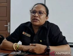 Bawaslu Papua Temukan Dugaan Pelanggaran PSU Pilkada