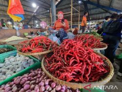 Penyaluran Kredit di Papua Barat-Papua Barat Daya Capai Rp9,44 Triliun