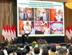 Kepala Daerah Sepakat! Sinergi Kuat Dorong Percepatan Hilirisasi Perkebunan Nasional