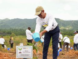 PLN UIP MPA Tanam Pohon di 160 Hektar Kawasan DAS, Wujud Komitmen Keberlanjutan Lingkungan di Papua
