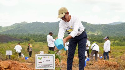 PLN UIP MPA Tanam Pohon di 160 Hektar Kawasan DAS, Wujud Komitmen Keberlanjutan Lingkungan di Papua