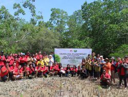 Swiss-Belhotel Manokwari Rayakan HUT ke-18 dengan Tanam 500 Bibit Mangrove