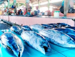 Ikan Cakalang dan Angkutan Udara jadi Faktor Deflasi Tahunan 0,87 Persen di Papua Barat