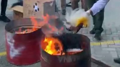 Kemenhut Minta Maaf ke Masyarakat Papua Musnahkan Mahkota Cenderawasih