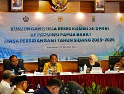 PLN dan DPR RI Perkuat Kolaborasi Pemerataan Energi di Papua Barat