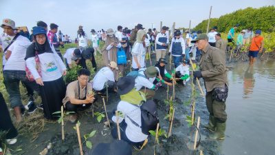 Bersama Warga, PLN Rehabilitasi Mangrove Lindungi Pesisir Utara Jateng dari Banjir Rob