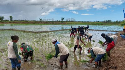 Nilai Tukar Petani Papua Barat pada September 2025 Turun 0,61 persen menjadi 100,32