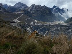 Freeport Lepas 12% Saham Buat RI, Ajukan Perpanjangan Kontrak Kuartal IV/2025