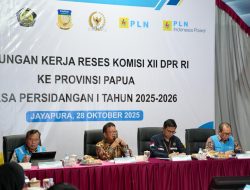 PLN UIP MPA Siap Dukung Wujudkan Pemerataan dan Keadilan Energi di Tanah Papua