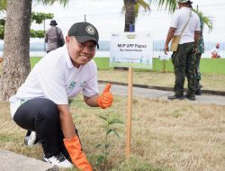 PLN UIP MPA Gerakkan Penghijauan di Jayapura Lewat Program Roots of Energy