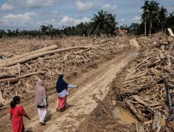 OJK Terbitkan Kebijakan Perlakuan Khusus Kredit dan Pembiayaan Korban Bencana Sumatera