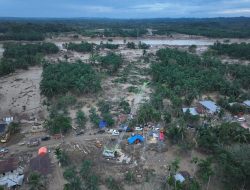 Tower dan Transmisi Rampung, Sistem Kelistrikan Aceh Kembali Terhubung ke Sumatra