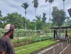 PLN UIP MPA Dorong Modernisasi Pertanian di Jayapura, Electrifying Agriculture Hasilkan Nilai Manfaat 1:1,07