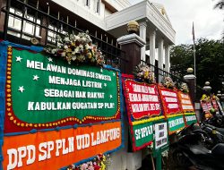 Saksi Tergugat ESDM Perkuat Dalil Gugatan SP PLN dalam Sidang RUPTL 2025–2034