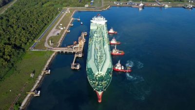Neraca Perdagangan Papua Barat Surplus US$308,47 Juta pada Desember 2025
