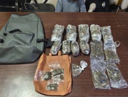Polisi Tangkap Tiga Mahasiswa Pengedar 1,4 Kilo Ganja di Manokwari