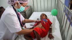 Papua Barat Siapkan Beasiswa Kedokteran bagi Mahasiswa OAP