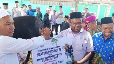 Papua Barat Daya Salurkan 20 Sapi Kurban untuk Idul Adha