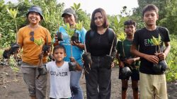 PLN UIP MPA dan Uniera Tanam 120 Mangrove, Lepas 21 Tukik Penyu di Pantai Wauwo