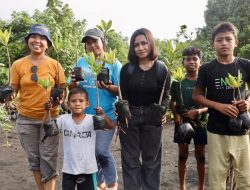 PLN UIP MPA dan Uniera Tanam 120 Mangrove, Lepas 21 Tukik Penyu di Pantai Wauwo