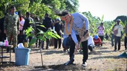 Wapres Gibran Tanam Bibit Kakao Unggulan di Manokwari Selatan