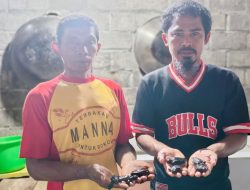 Penyu Menetas di Pantai Wauwo, Bukti Konservasi Berbasis Masyarakat Mulai Pulihkan Ekosistem Pesisir Halmahera