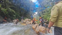 Kabut dan Suhu Dingin Hambat Pencarian Yanto Idorway di Air Terjun Memti