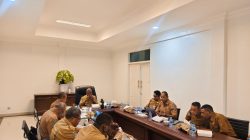Pemprov Papua Barat Siapkan Konsultan Perkuat Pengembangan dan Tata Kelola RSUP