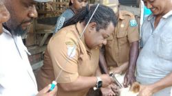 Pemkab Sorong Perkuat Peternakan Lewat Inseminasi Buatan