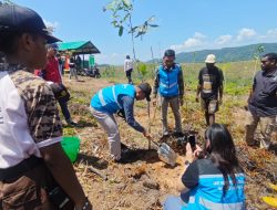 PLN UIP MPA dan Lintas Instansi Perkuat Komitmen Jaga Lingkungan Papua