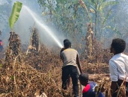 Pemprov Papua Barat Bentuk Satgas Karhutla, Minta Dukungan Water Bombing