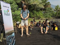 Dari Persemaian ke Pesisir: 1.000 Bibit Mangrove Disiapkan untuk Menjaga Pantai Wauwo dan Habitat Mamoa