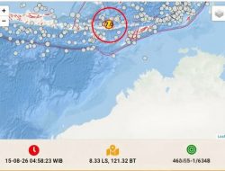 Gempa M 7,7 Guncang Seluruh Flores, Berpotensi Tsunami