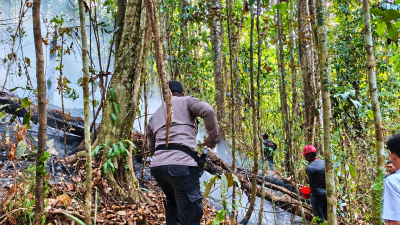 Papua Barat Naikkan Status Karhutla dari Siaga Menjadi Waspada